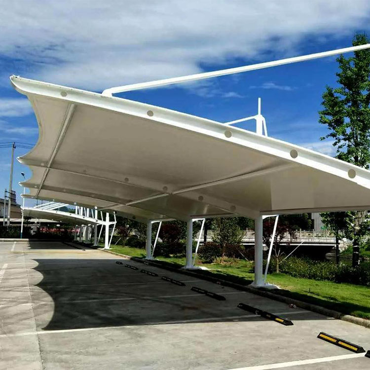 颍上县膜结构汽车棚